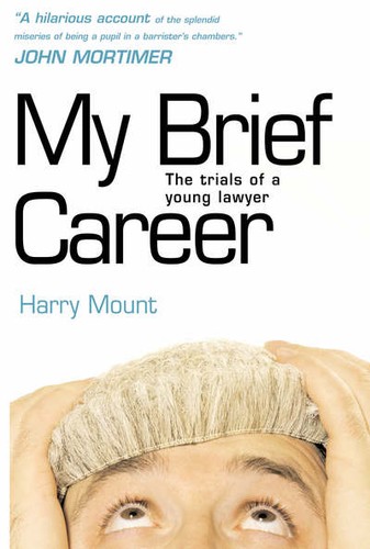 Brief career - brief,
